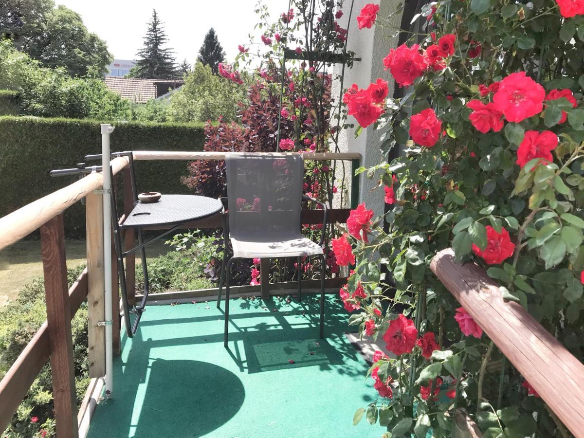 Lindo Lugar - Just A 7 Minute Walk From The Airport Meyrin